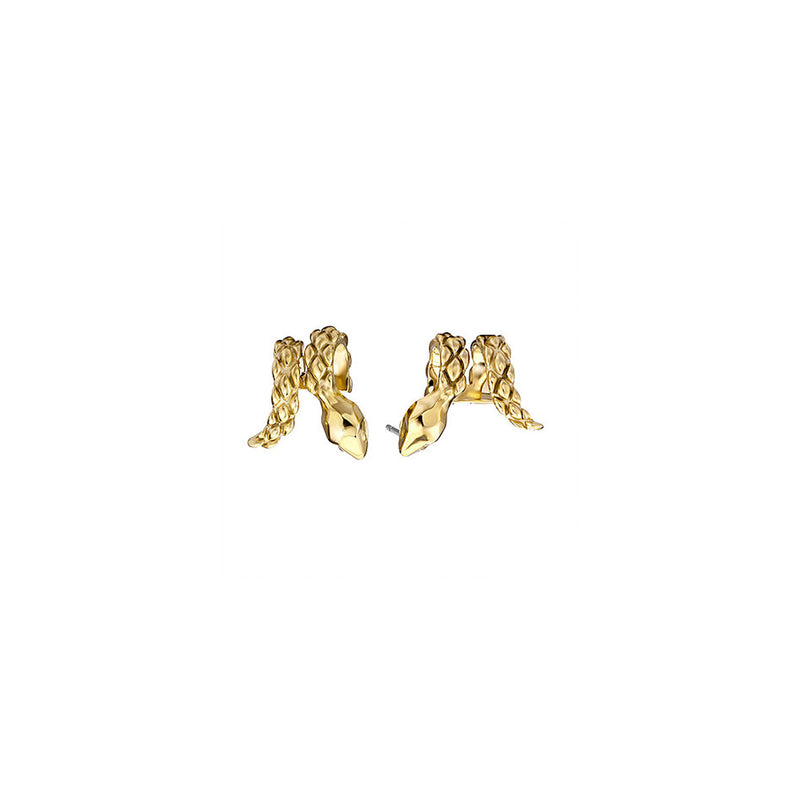 Just Cavalli Snake Earrings - Ray's Jewellery